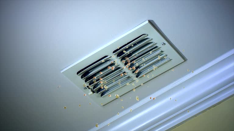 Best Air Duct Cleaning Company Near Me  in Gardendale, TX