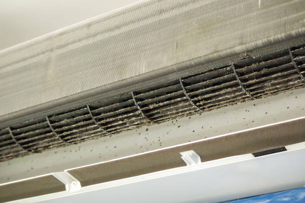 Best Best Air Duct Cleaning Company  in Gardendale, TX